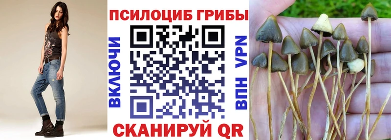 дарк нет формула  Заречный  Псилоцибиновые грибы прущие грибы 