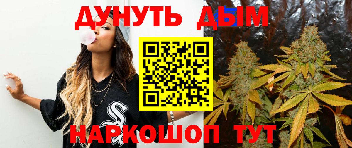 Каннабис конопля Заречный